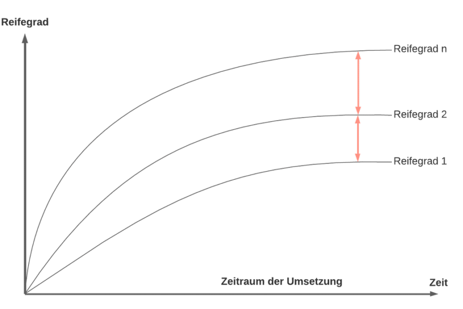 Management Dokumentation Reifegrad | SMCT MANAGEMENT